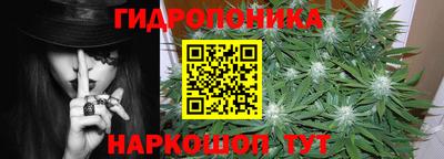 сатива Кандалакша