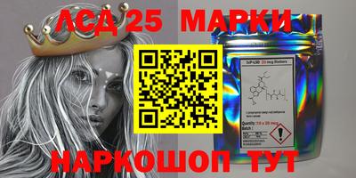 сатива Кандалакша